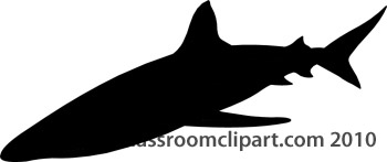 Silhouettes   Shark Silhouette 1108 2   Classroom Clipart