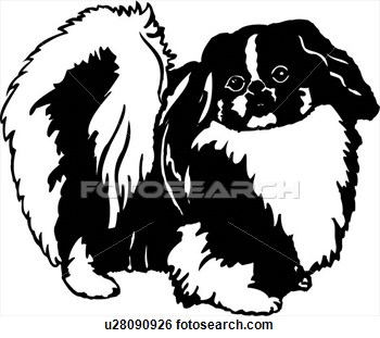     Breeds Canine Dog Pekingese Show Dog View Large Clip Art Graphic