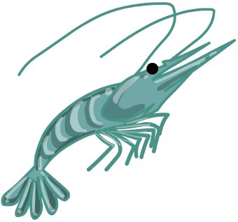 Clip Art Of A Shrimp With Its Antennae Bent Back
