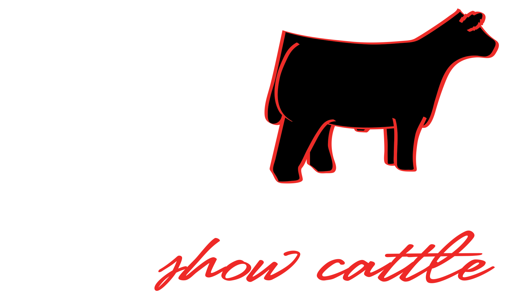 Drew Show Cattle Logo Design   The Showtimes Junior Livestock Magazine