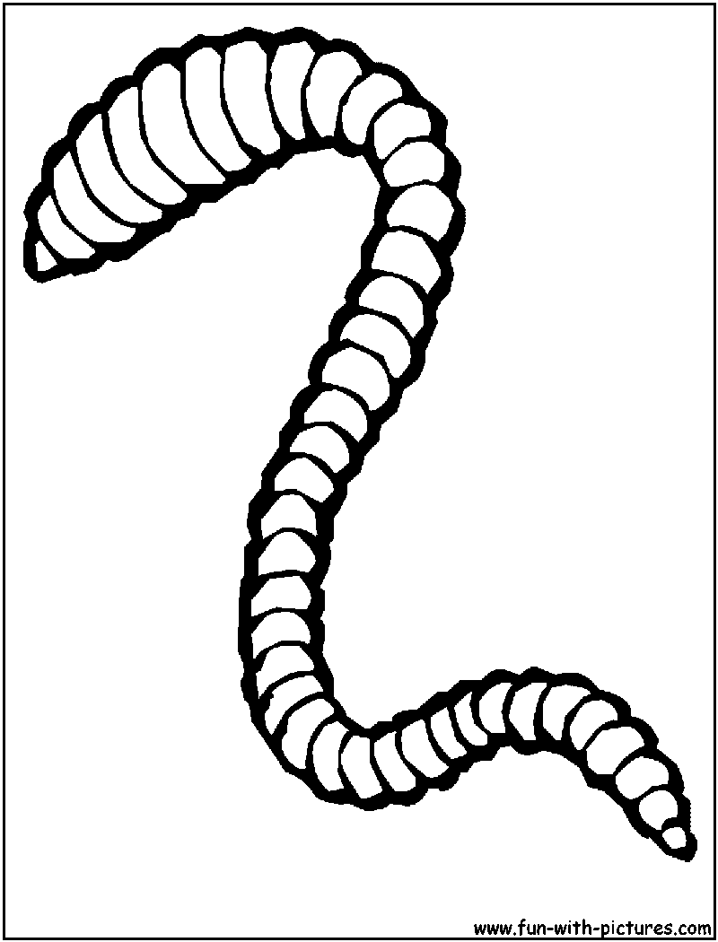 Free Real Worm Colouring Pages