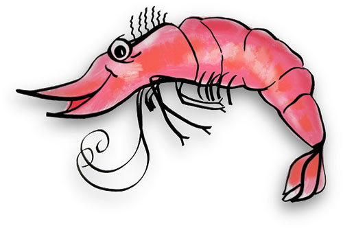 Free Shrimp Gifs   Shrimp Animations   Clipart