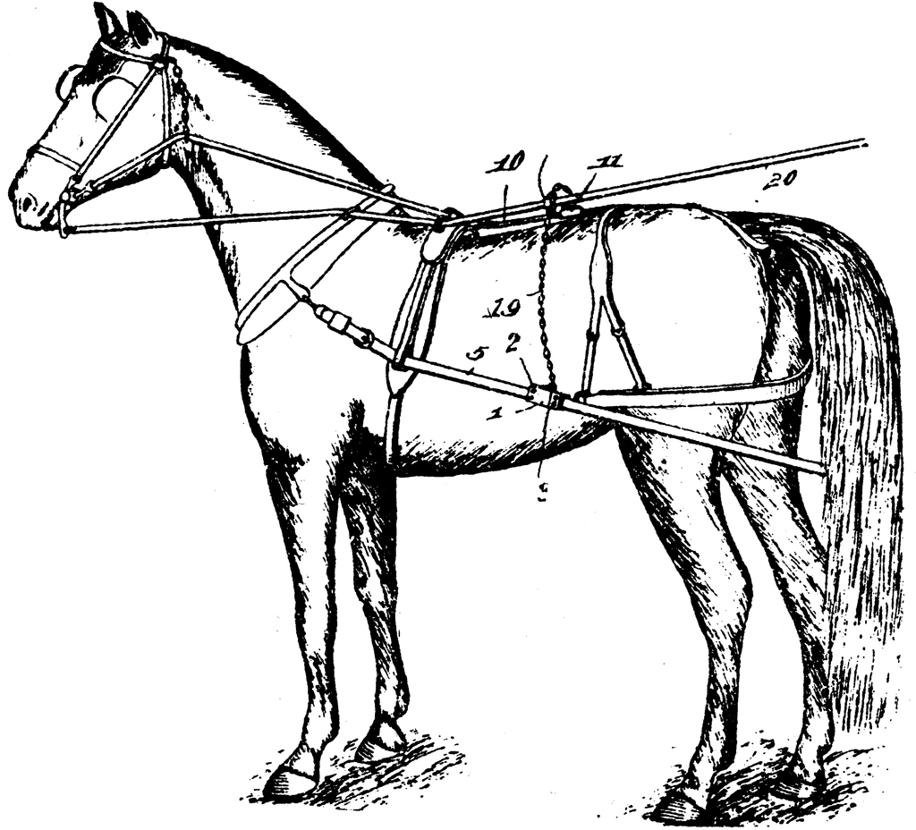Horse Detaching Harness   Clipart Etc
