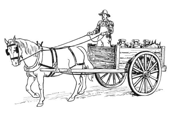 Horse Wagon Drawing Horse Drawn Wagon 1900