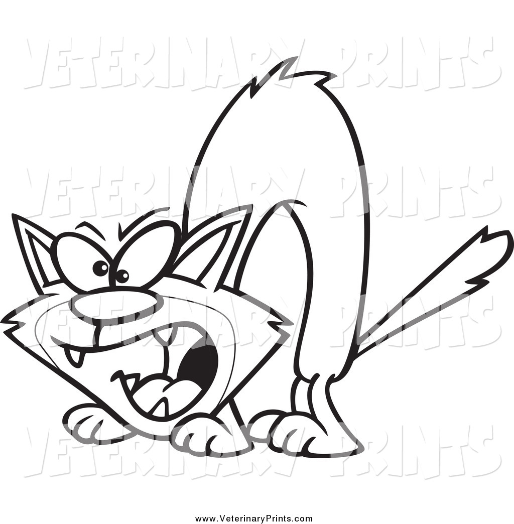 Larger Preview  Art Print Of A Cartoon Black And White Hissing Cat By    