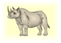Rhino Clipart