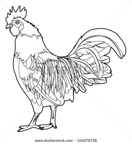 Rooster   Black And White Sumptuous Rooster Stock Vector Illustration
