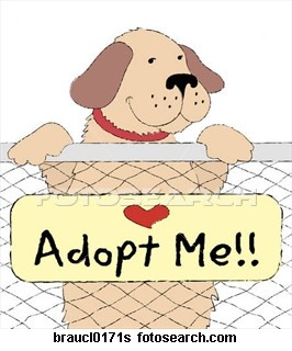 Adopt Me     Adopt Your Pets   Pinterest