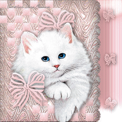 Animated Free Gif  Cats Glitter Photo Graphics Animated Gifs Free