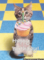 Cat Cake Cupcake Happy Birthday Emoticon Emoticons Animated Animation