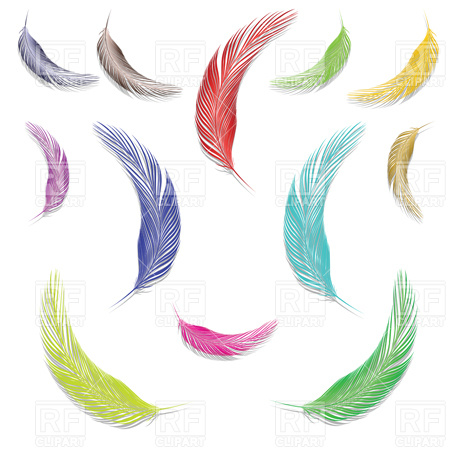 Feathers 2833 Design Elements Download Royalty Free Vector Clip Art