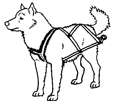 How To Draw A Dog Sled   Clipart Best