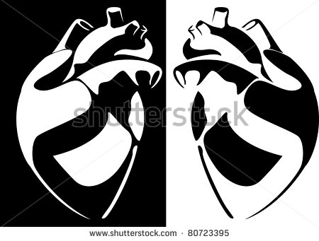 Human Heart Clipart Black And White Stock Vector Series Vector     