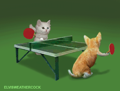 Moving Animated Ping Pong And Table Tennis Player And Spectator Gif