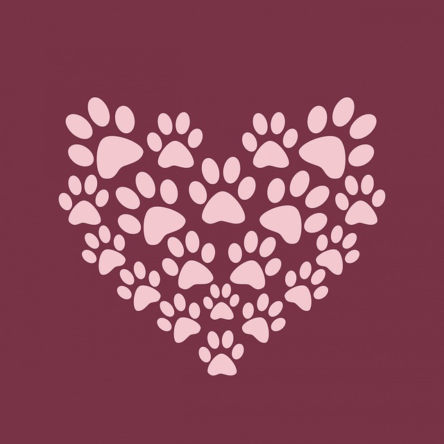 Paw Print Paw Prints Heart Cute Pink Burgundy