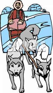 Sled Dogs Pulling An Eskimo On A Sled   Royalty Free Clipart Picture