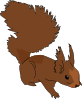 Squirrel Clip Art At Clker Com   Vector Clip Art Online Royalty Free