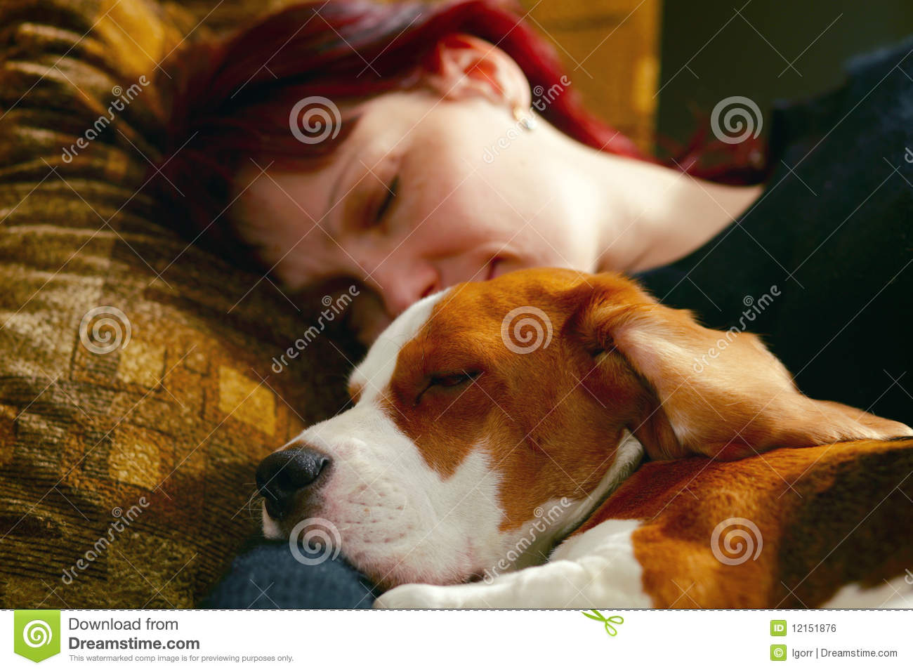 The Woman Who Has Fallen Asleep With The Puppyfocus On A Dog