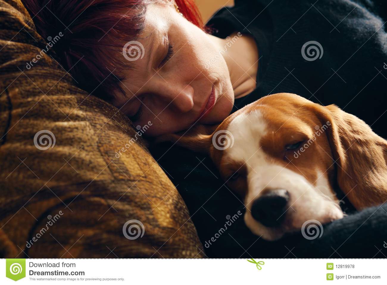 The Woman Who Has Fallen Asleep With The Puppyfocus On A Woman