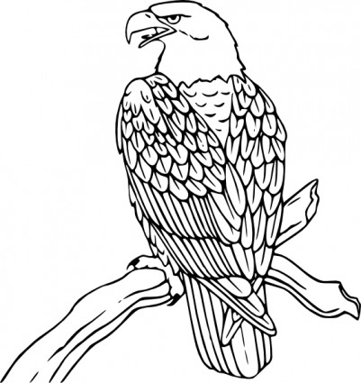 Bald Eagle Clip Art V     