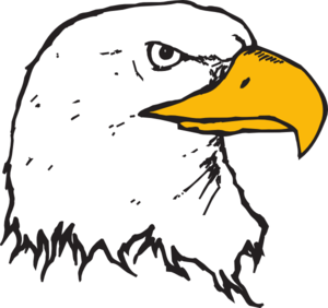 Bald Eagle Head Clip Art At Clker Com   Vector Clip Art Online