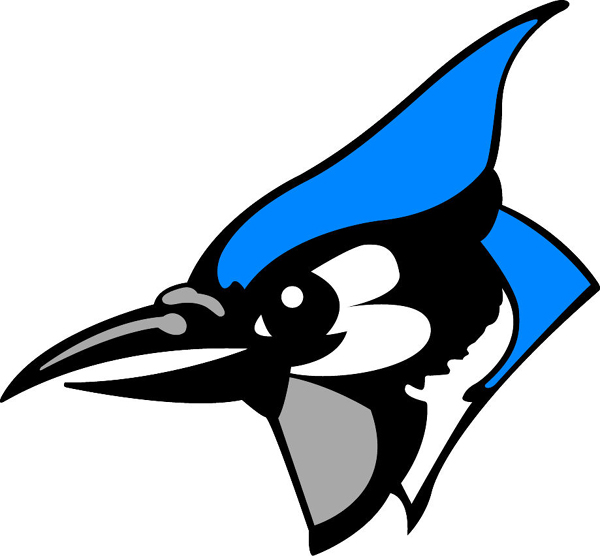 Blue Jay Mascot Team Sports Decal Display Team Spirit