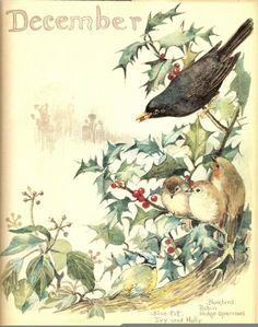 Christmas Postcards Birds Postcards Clip Art Free Vintage Christmas