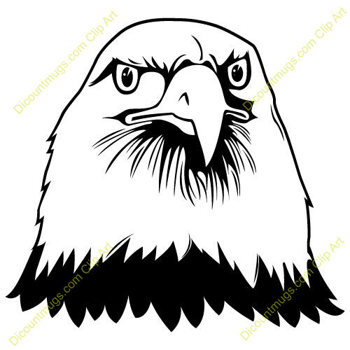 Name Bald Eagle Description Bald Eagle Keywords Eagle Bald Bird Face    