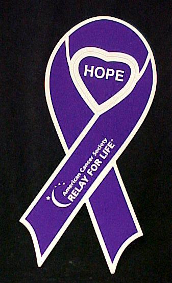Relay For Life Purple Ribbon Hope Heart Magnet Nib