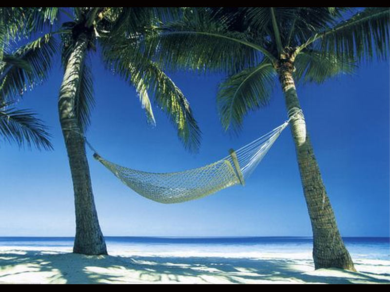 The Hammock Vacation Of Champions  Image From Http   Www    