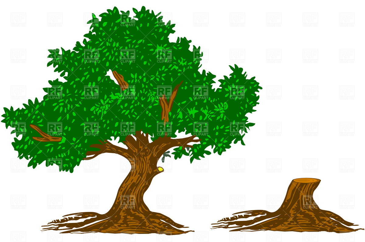 Tree And Stump 4563 Plants And Animals Download Free Vector Clip