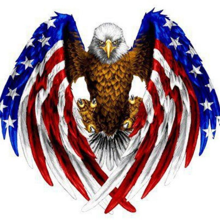 American Flag Eagle   Bald Eagles   Pinterest