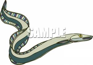 Clipart Image Of A Green Eel 