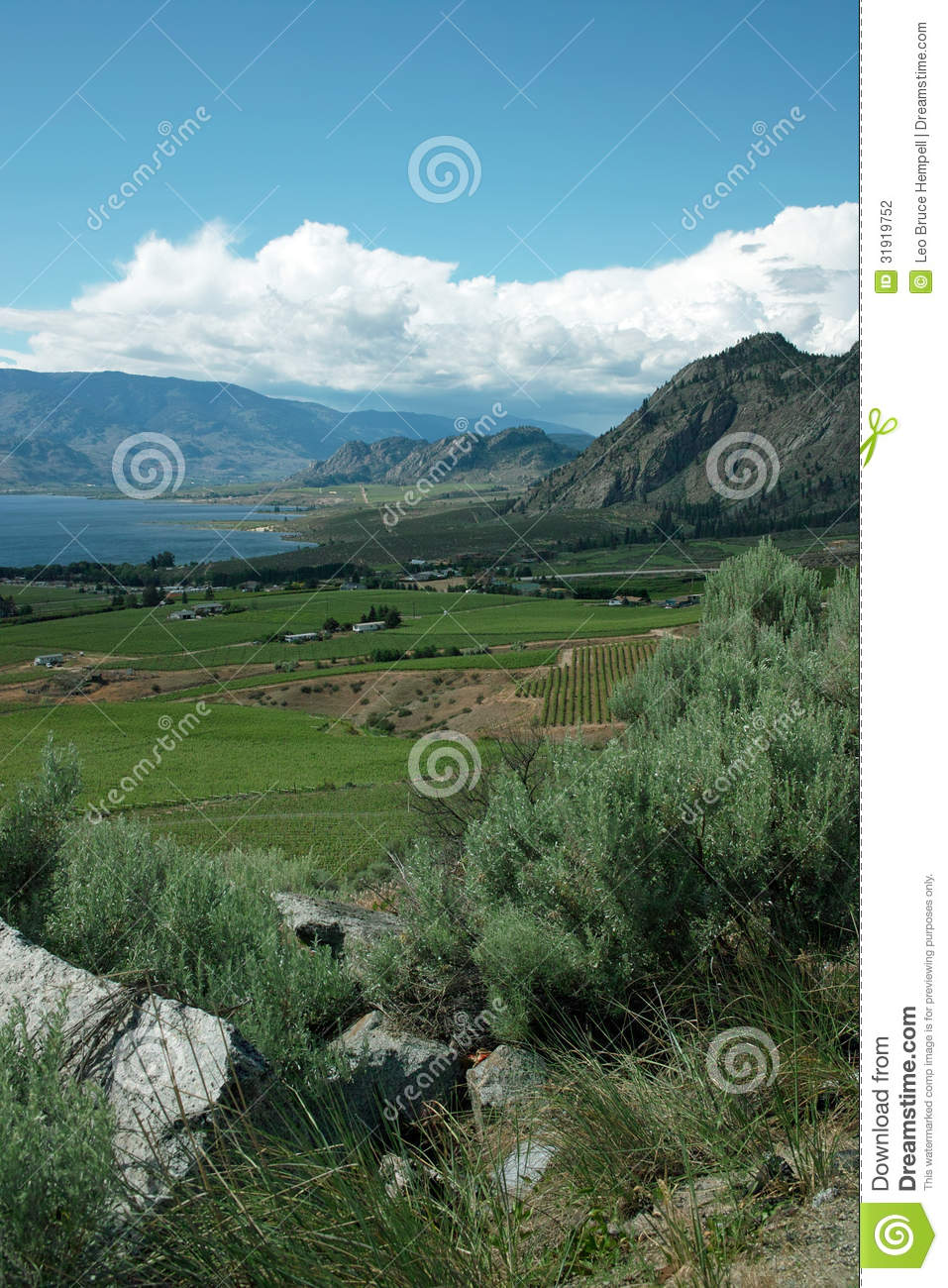 Crowsnest Highway View Of Osoyoos Bc Canada Stock Photography   Image