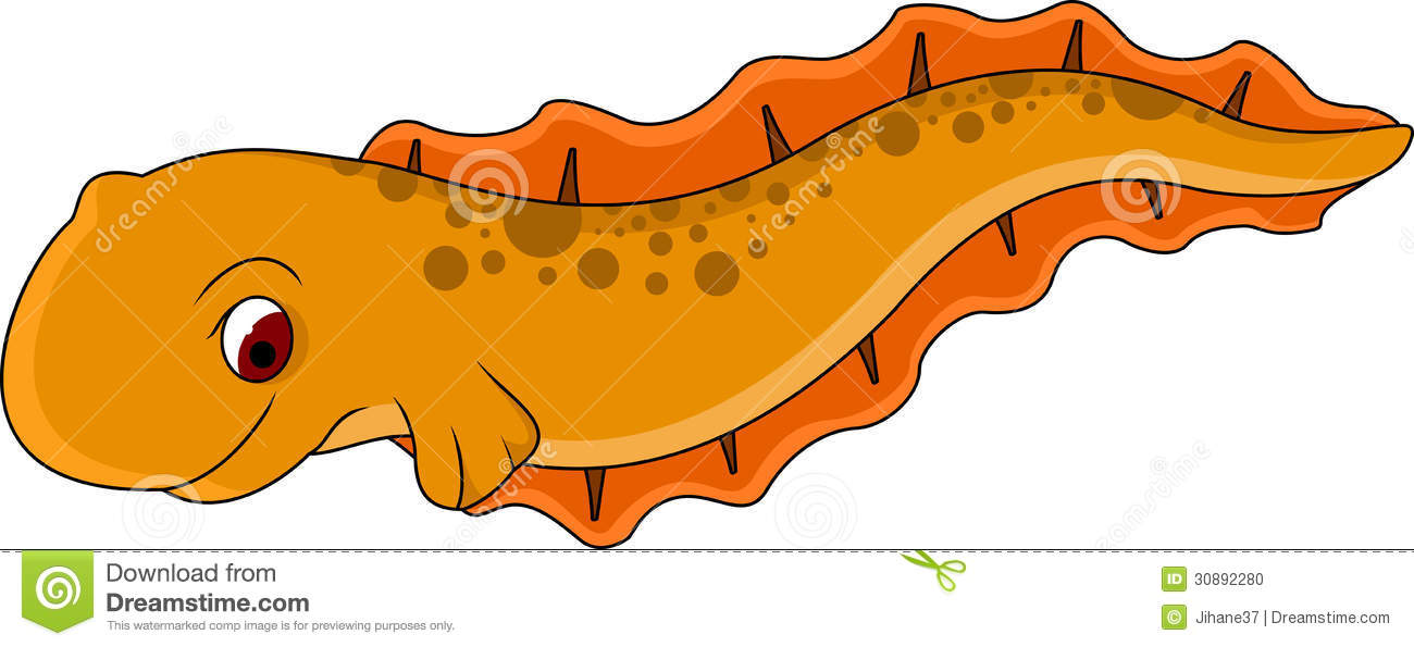 Electric Eel Cartoon Stock Photo   Image  30892280