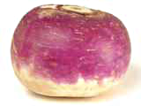Free Rutabaga Clipart 1 Page Of Public Domain Clip Art