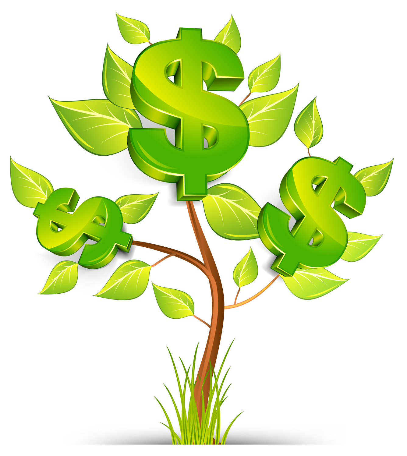 Green Tree Growing Currency With Dollar Sign On White Background    
