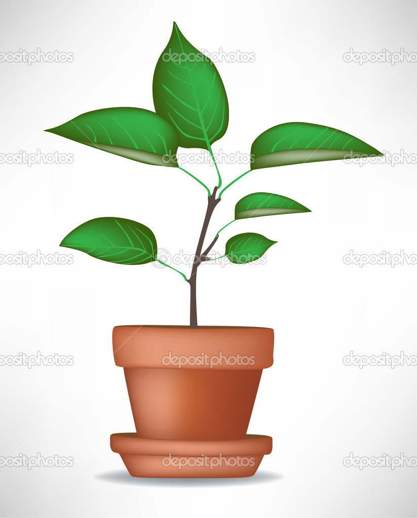 Growing Plant In Pot   Stock Vector   Corneliap  6948145