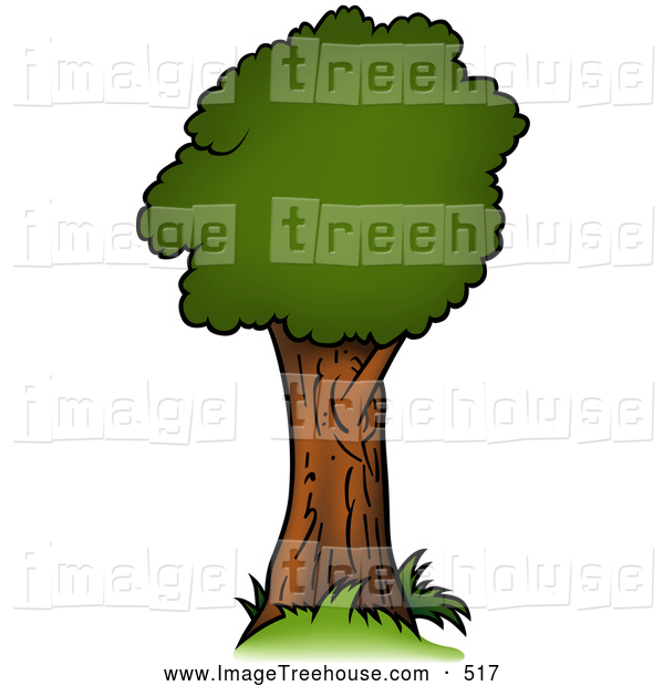 Growing Tree With Green Foliage Tree Clip Art Dero
