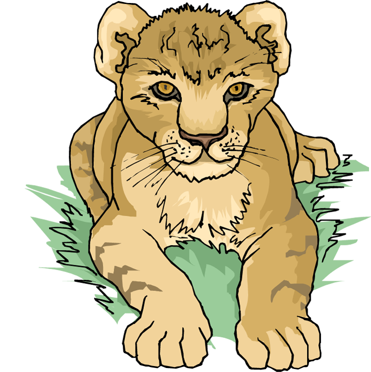 Lion Cub Clipart Lion Cub