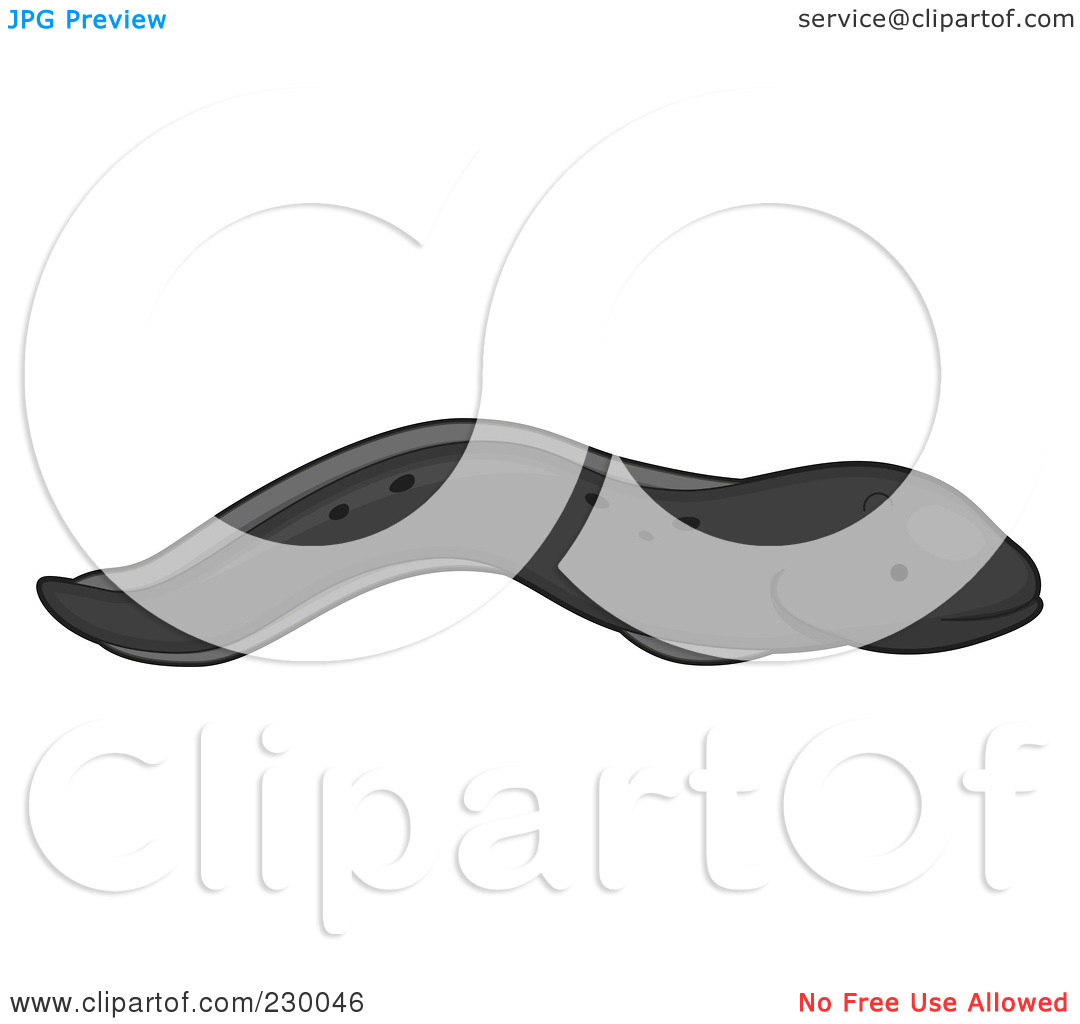 Royalty Free  Rf  Clipart Illustration Of A Cute Black Eel By Bnp