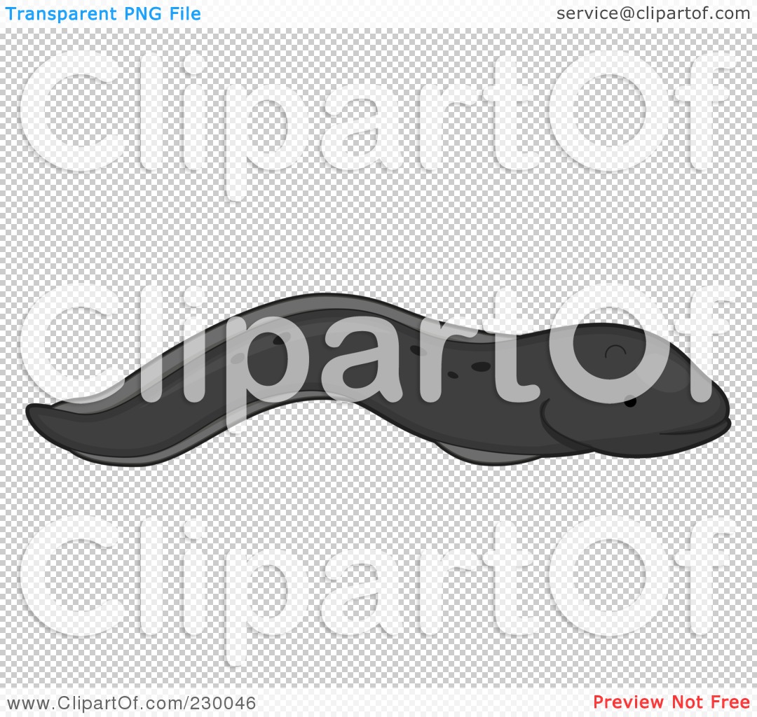 Royalty Free  Rf  Clipart Illustration Of A Cute Black Eel By Bnp