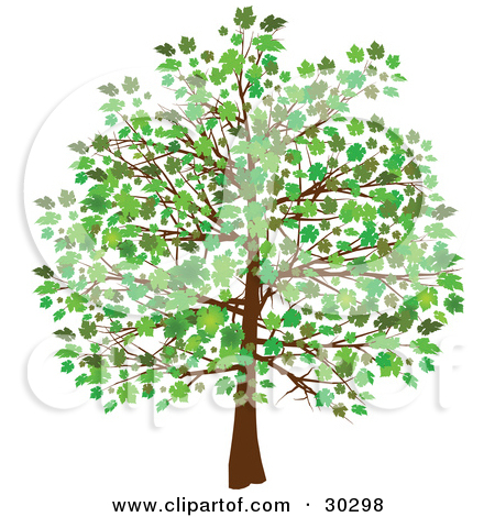 Royalty Free  Rf  Growing Tree Clipart   Illustrations  1
