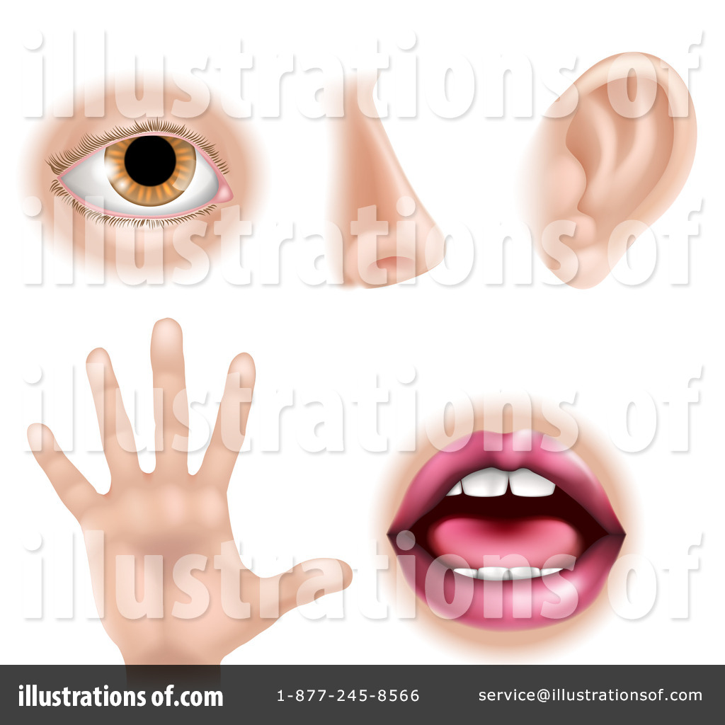     Royalty Free  Rf  Stock     Sense Of Hearing Black And White Clipart