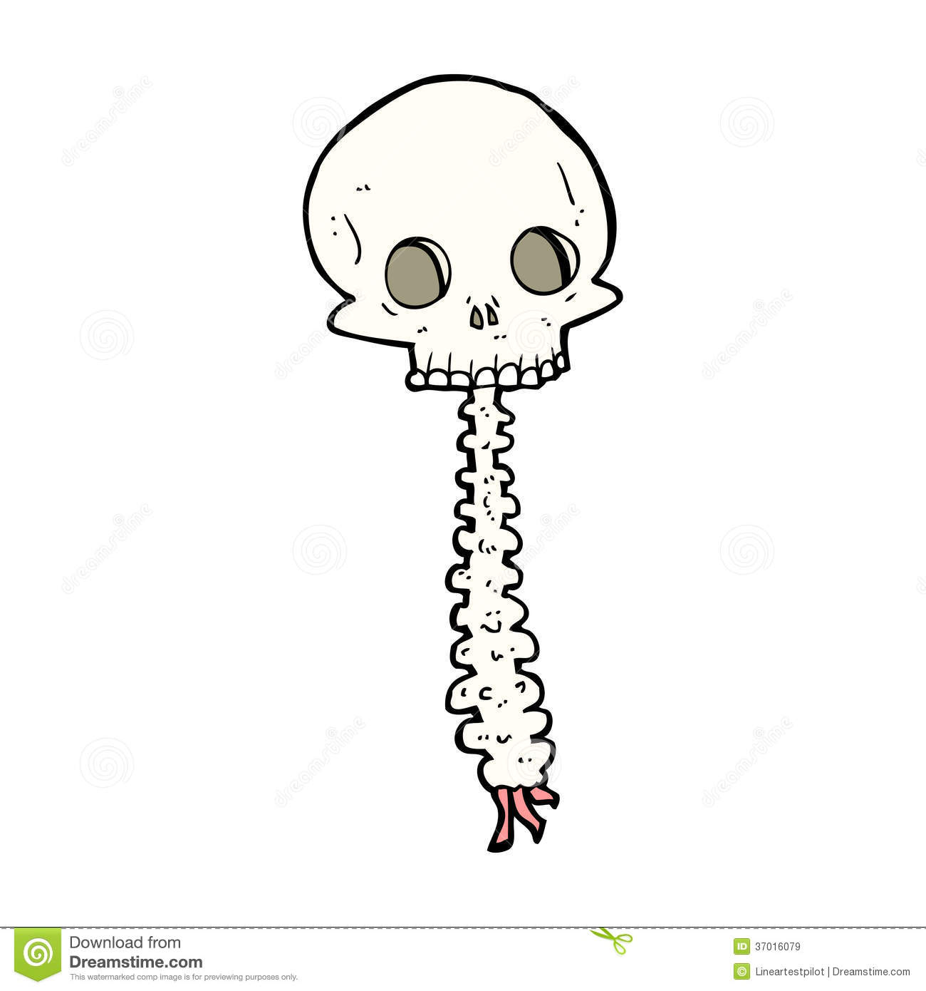 Spine Clipart Royalty Free Stock Images  Spooky Cartoon Sull And Spine