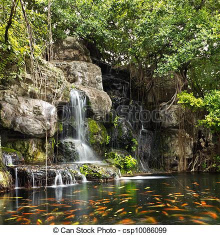 Stock Illustration Of Koi Fish In Pond At The Garden With A Waterfall