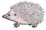 Title  Free Hedgehog Clipart
