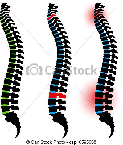 Vector   Vector Human Spine Silhouettes   Stock Illustration Royalty