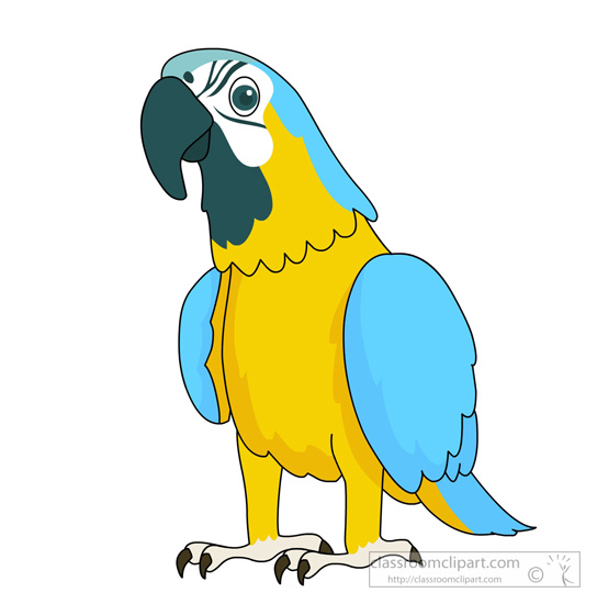 Bird Clipart   Blue Yellow Macaw Parrot 427   Classroom Clipart