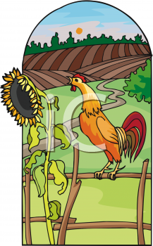 Clipart Picture Of A Rooster Crowing On An Early Morning On A Farm